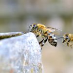 日本抽搐一进一出gif 51jtqa3