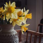 日本无吗无卡v清免费 iq929m